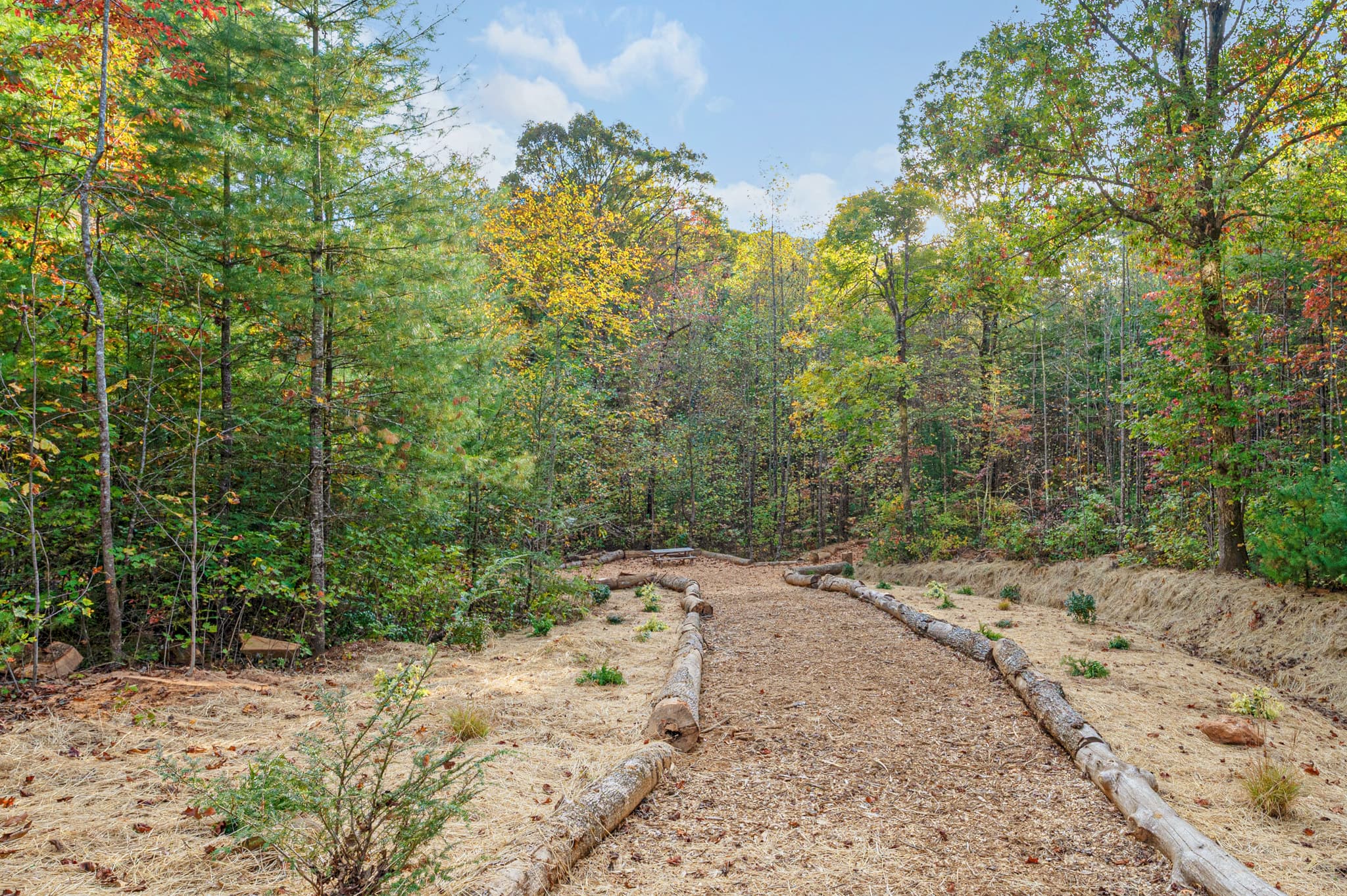 The private trail winding through the property
